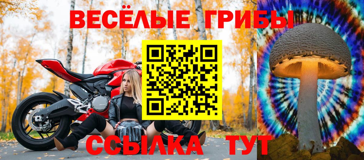 Соль-Илецк  дарнет шоп  Галлюциногенные грибы Psilocybine cubensis  Вход с VPN  Галлюциногенные грибы Psilocybine cubensis 